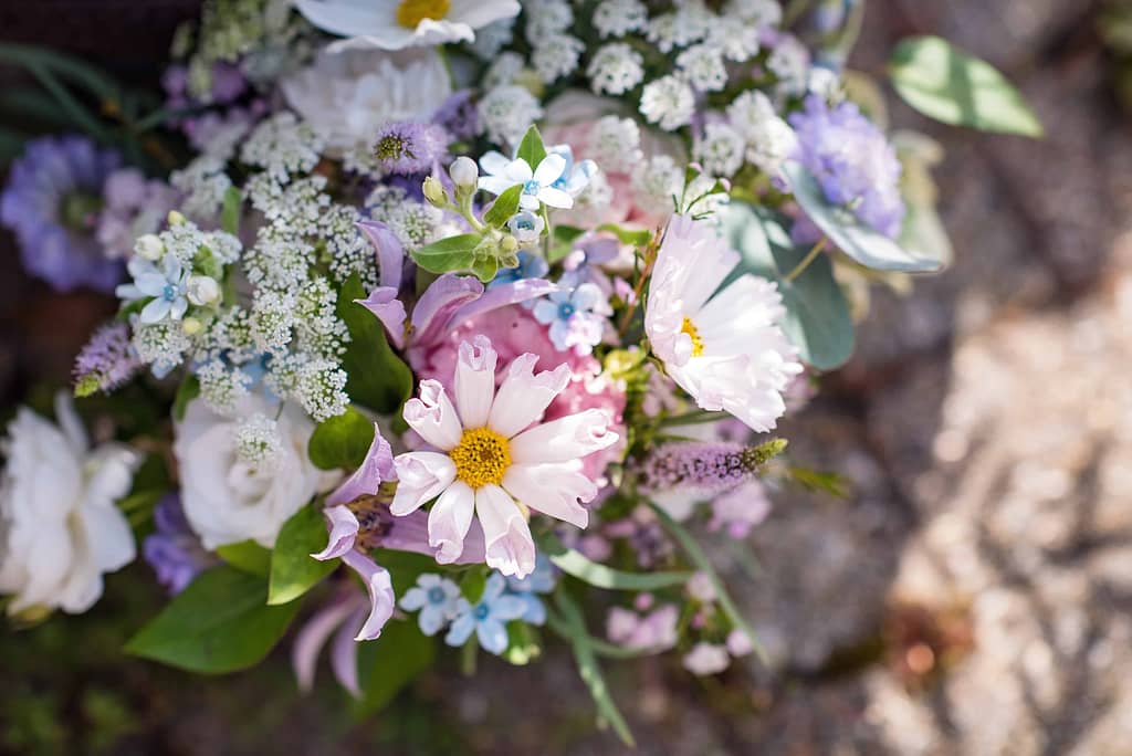 British grown wedding flowers in Sussex by Bettie Rose