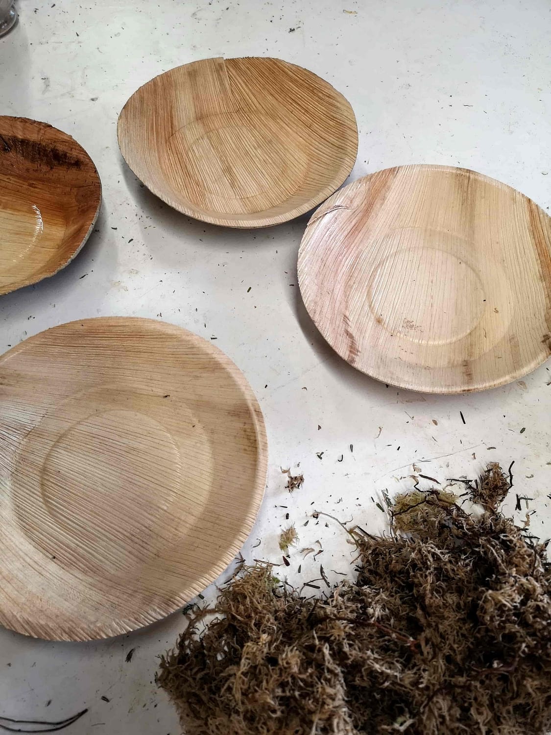bamboo bowls to use with moss for foam free floral arrangement