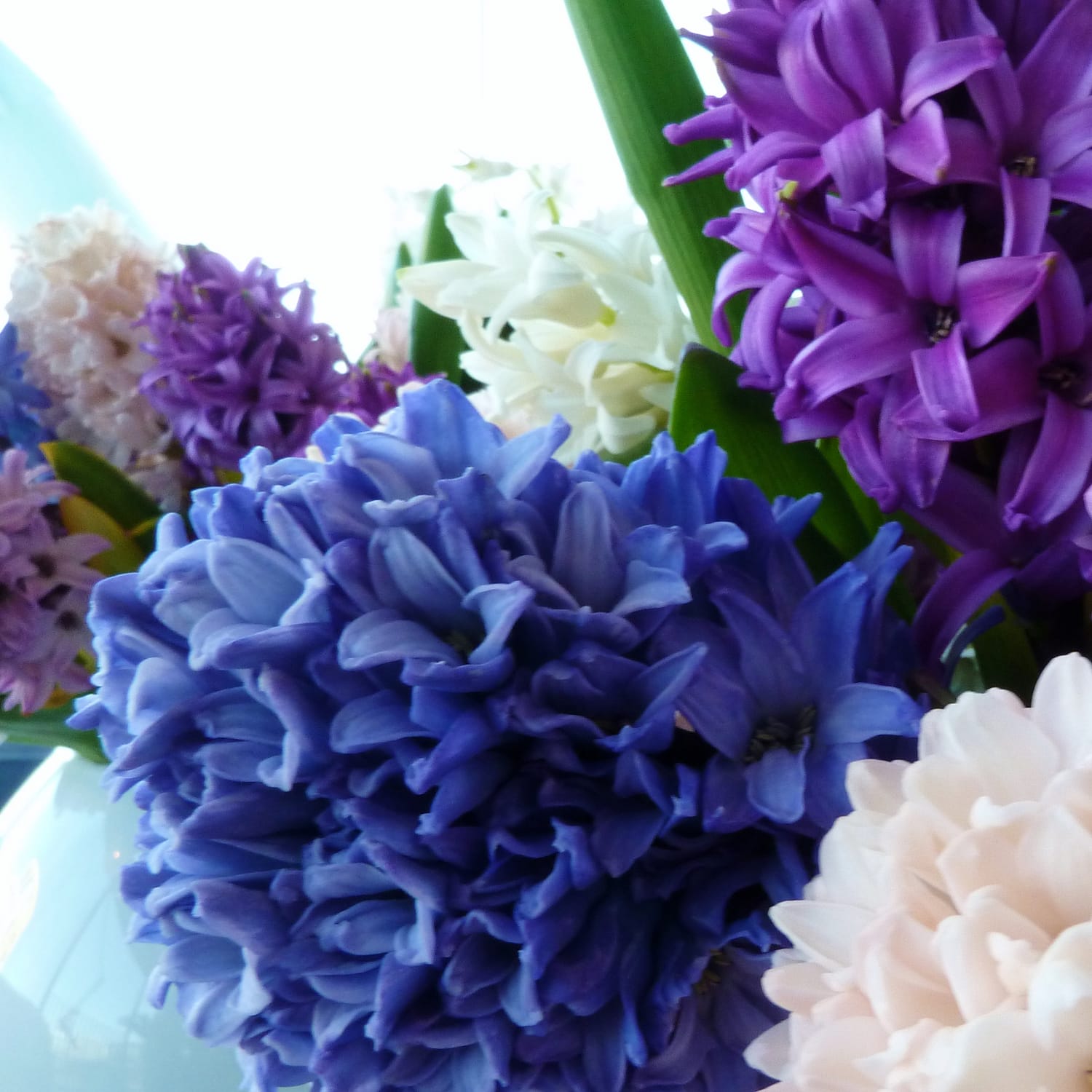 Blue Wedding Flowers - hyacinth