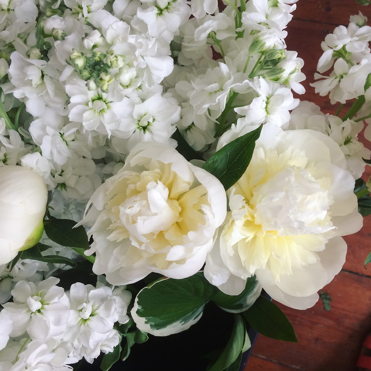 white peonies and stocks, perfect for wedding flowers in june