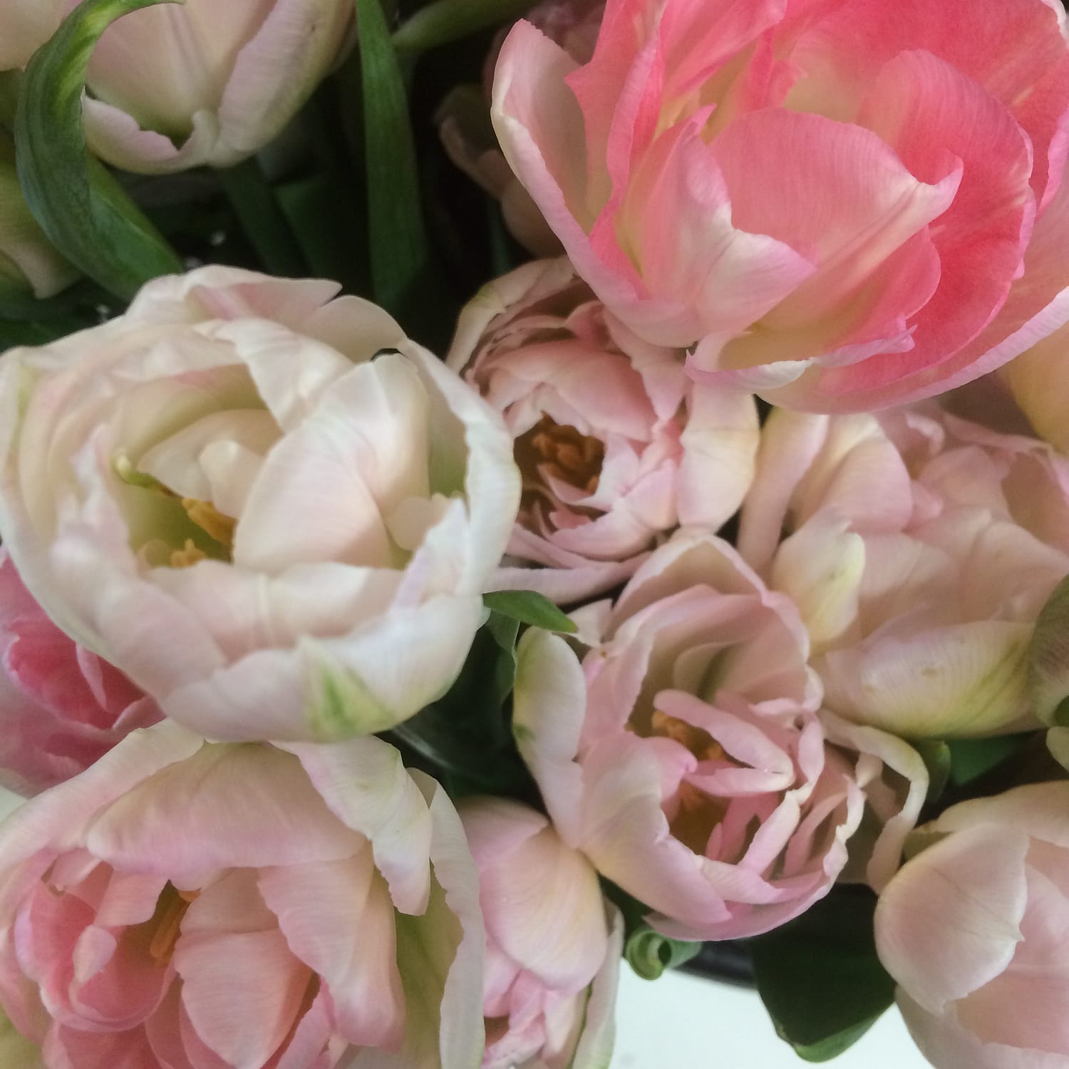 double tulips, top 10 spring wedding flowers