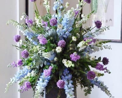 Tall Purple flowers - Wakehurst Place, West Sussex