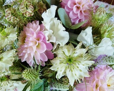 dahlia and sweet peas, pink bouquet, sussex