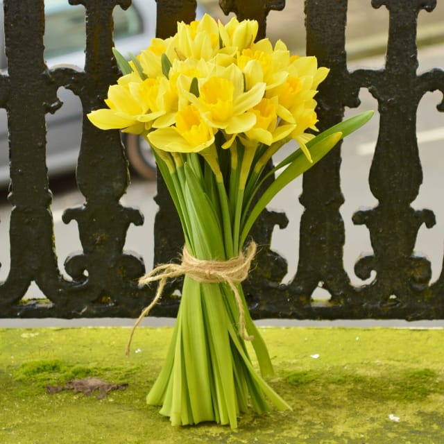 Early spring flowers, daffodil bouquet