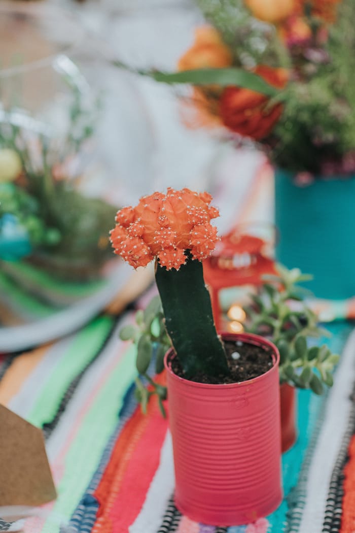 colourful cactus, mexican wedding Brighton