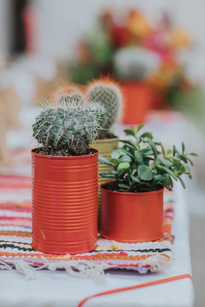 cacti as wedding table decoration