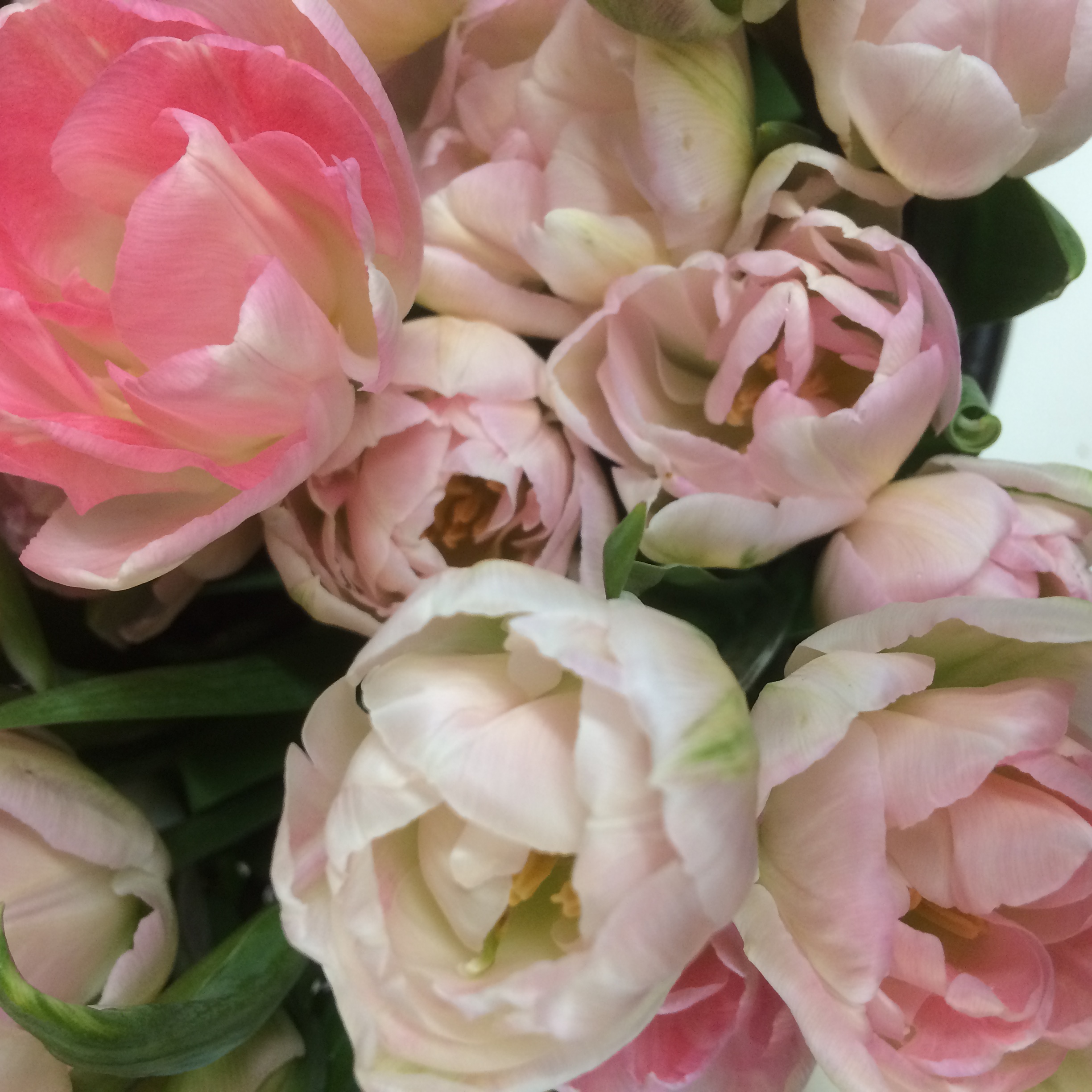 double tulips, top 10 spring wedding flowers